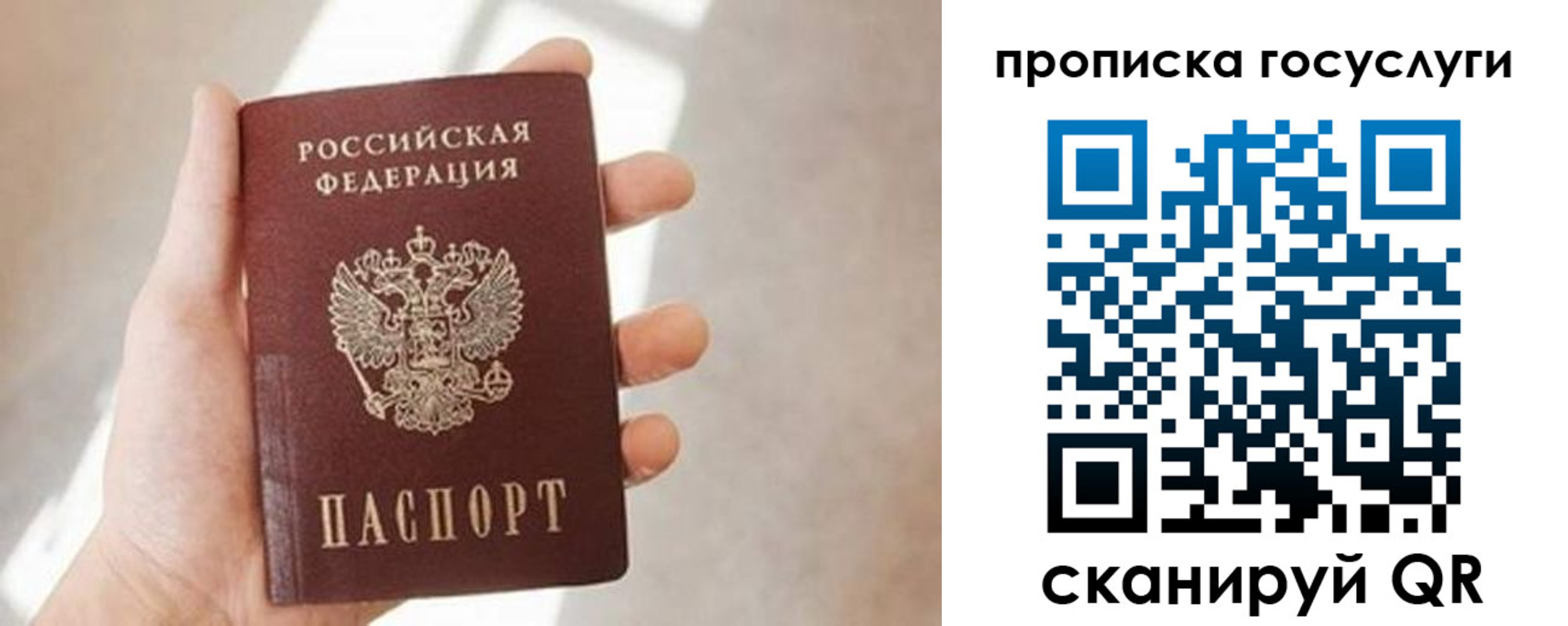 прописка 2025 в Белореченске